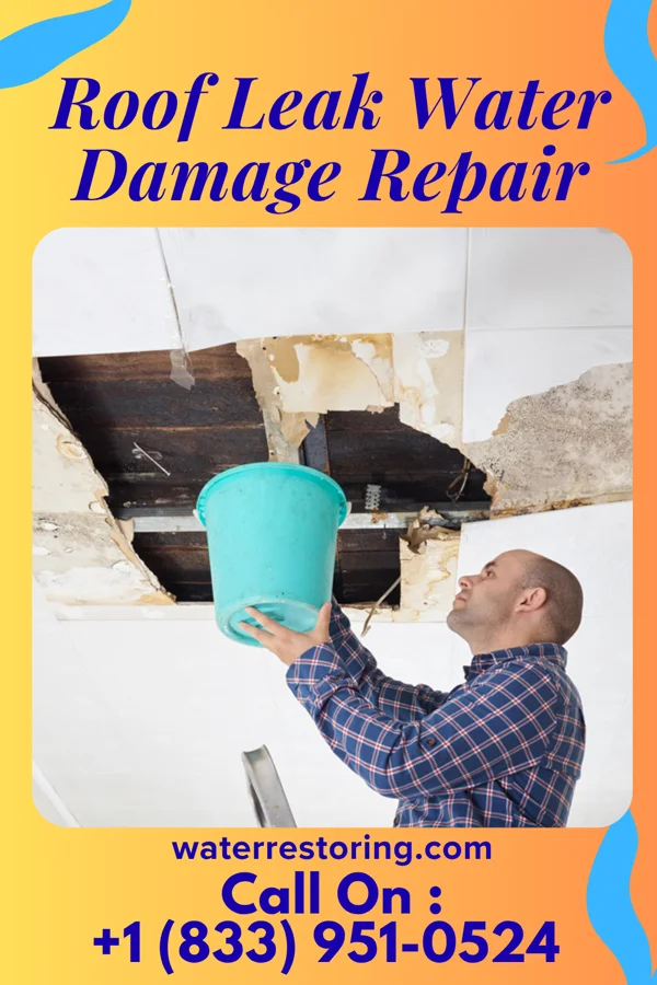 Roof Leak Water Damage Repair in Courtland, MN